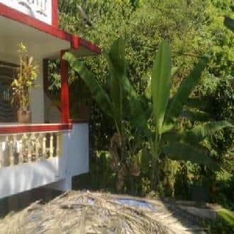 Stay In A Homestay In Calangute, Goa 1